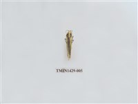 藏品(燈蛾科)的圖片